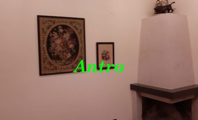agent-images