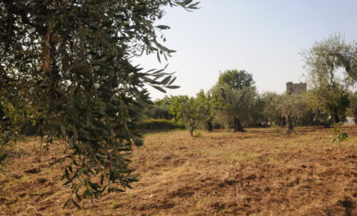 Ritorno vita agreste,semplice mondo contadino