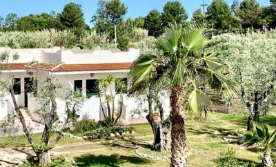 Villa Angela, case vacanza